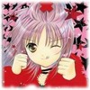 しゅごキャラ! - Im002.JPG