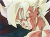 Bola de dragón - Im034.GIF