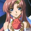 Kidou senshi gundam seed - Im012.JPG