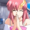 Gundam seed - Im014.JPG