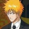 Bleach - Im013.JPG