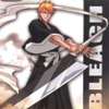 Bleach - Im043.JPG