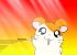 Hamtaro - pequenos hamsters, grandes aventuras - Im004.JPG