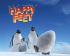 Happy feet - Im002.JPG