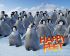 Happy feet - Im005.JPG