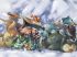 ポケットモンスター - Im014.JPG