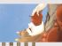 Spice & wolf - Im011.JPG