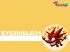 Eyeshield 21 - Im004.JPG