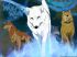 Wolf's rain - Im011.JPG