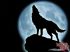 Wolf's rain - Im022.JPG