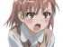 A certain scientific railgun - Im002.JPG