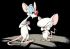 Pinky and the brain - Im002.JPG