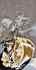 La visión de escaflowne - Im065.JPG