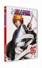 Bleach Vol.6