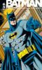 Batman - Knightfall T.5