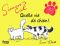 Simon's cat - Quelle vie de chien !