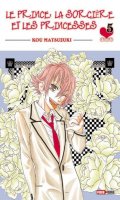 Le prince, la sorcire et les princesses T.5