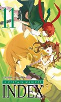 A certain magical index T.11