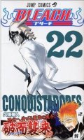 Bleach T.22