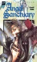 Angel Sanctuary T.17